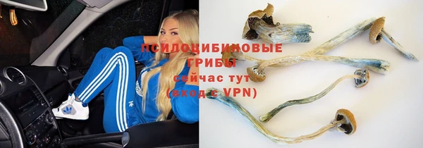 круглые Алзамай