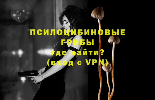 круглые Алзамай