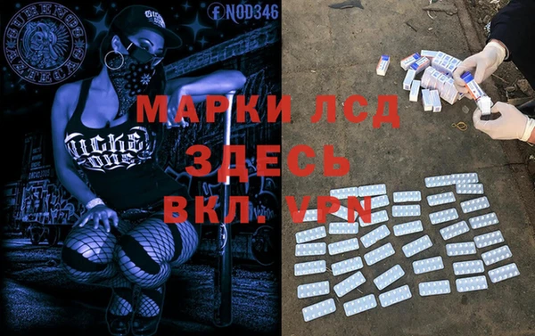 прущие грибы Алексеевка