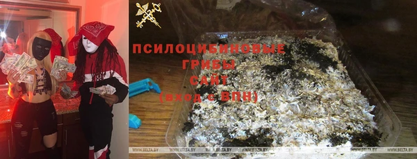 прущие грибы Алексеевка