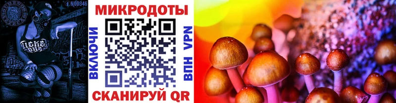 Псилоцибиновые грибы прущие грибы  Анива 